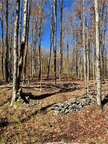 $650,000 | 2685 Red Kill Road, Roxbury, NY 12430