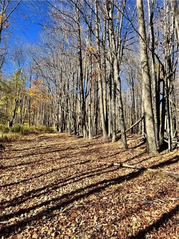 $650,000 | 2685 Red Kill Road, Roxbury, NY 12430