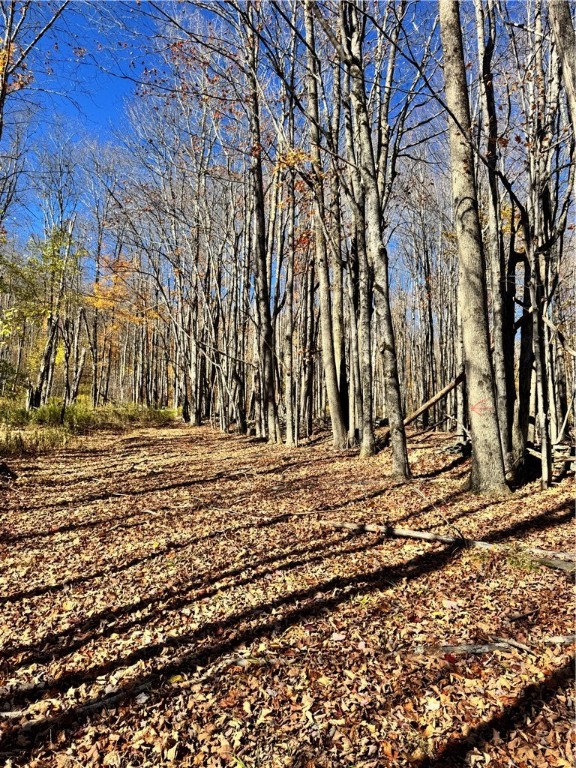 2685 Red Kill Road Roxbury, NY 12430 - Photo 40 of 42