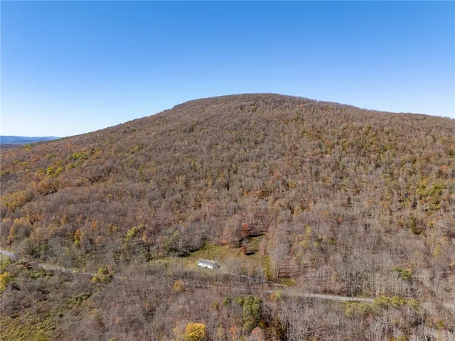 $650,000 | 2685 Red Kill Road, Roxbury, NY 12430