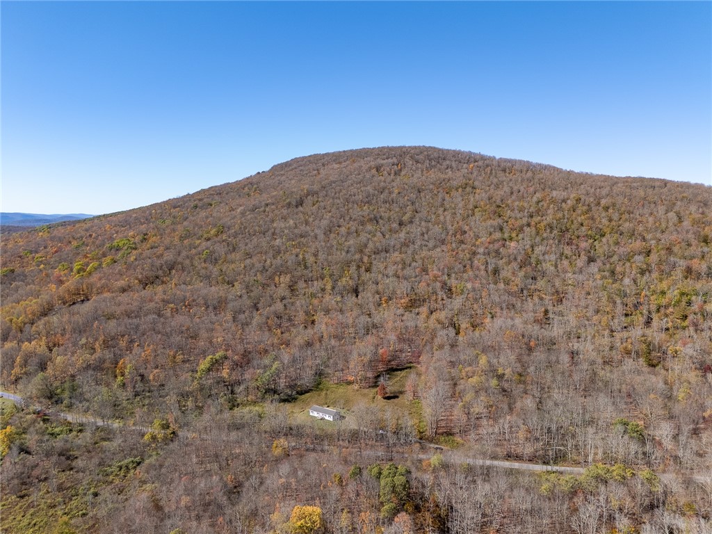 2685 Red Kill Road Roxbury, NY 12430 - Photo 4 of 42