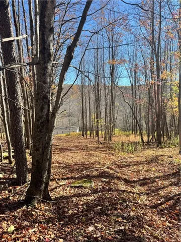 $650,000 | 2685 Red Kill Road, Roxbury, NY 12430