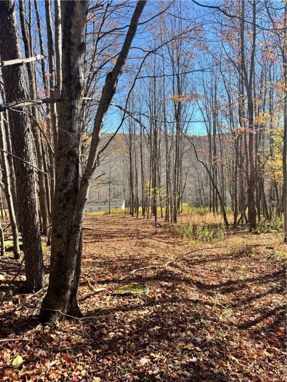 2685 Red Kill Road Roxbury, NY 12430 - Photo 42 of 42