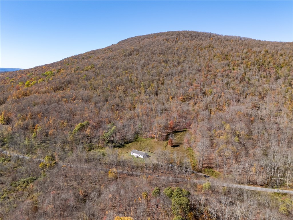 2685 Red Kill Road Roxbury, NY 12430 - Photo 5 of 42