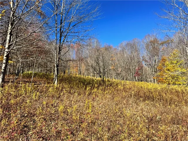 $650,000 | 2685 Red Kill Road, Roxbury, NY 12430