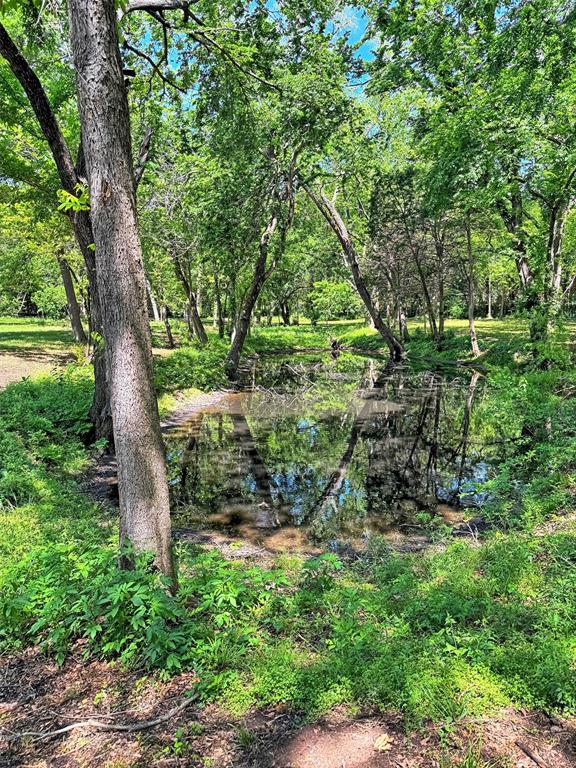 406 Griffith Avenue Terrell, TX 75160 - Photo 38 of 40 Natural landscape featuring mature trees, lush green foliage, a reflective body of water, and organic ground cover
