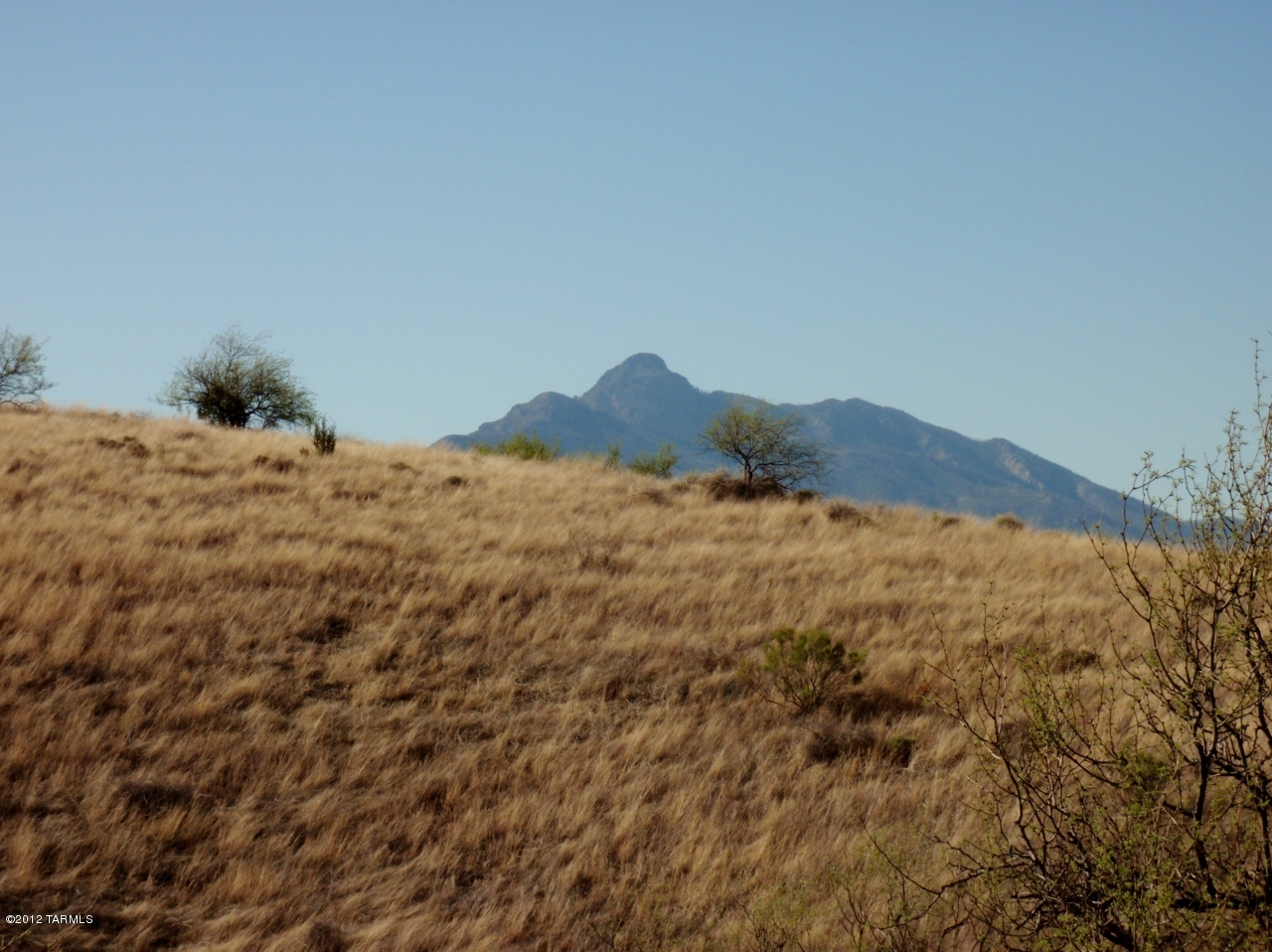 0 Temporal Road, Unit 1 Patagonia, AZ 85624 - Photo 17 of 19