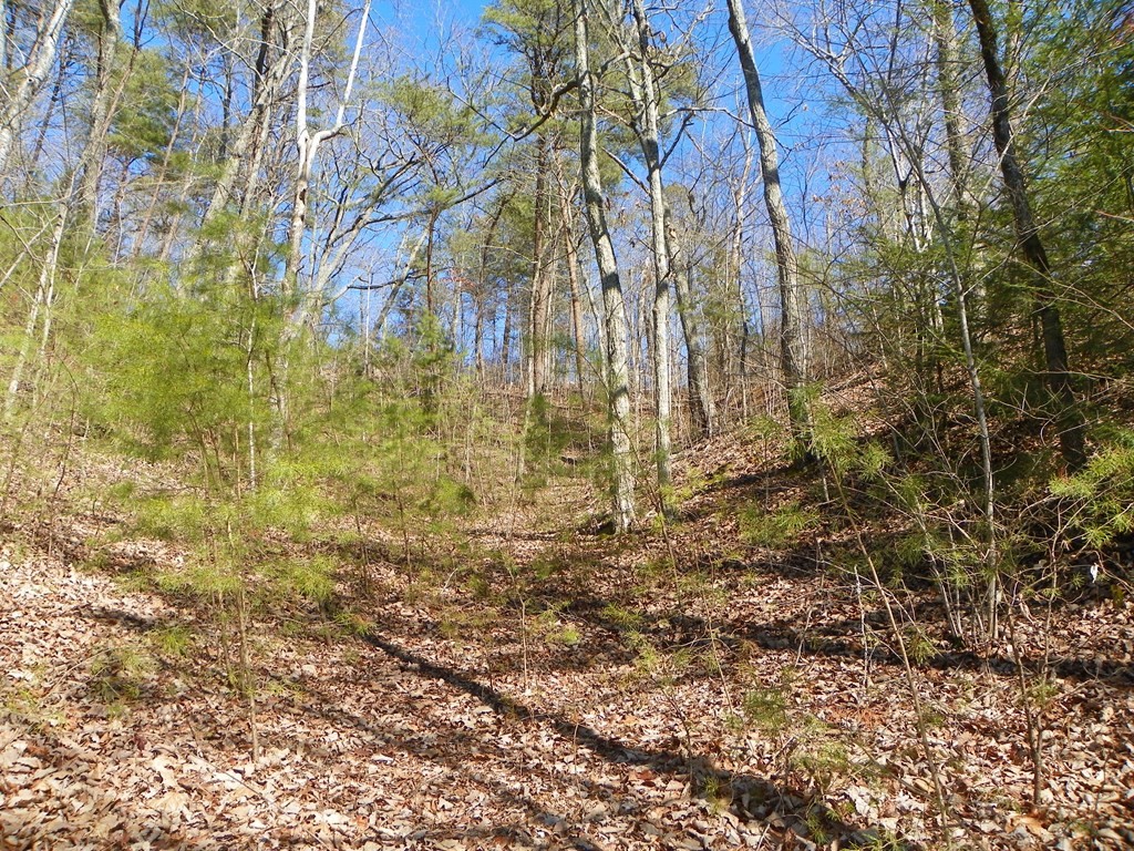 0 Shadow Ridge Drive Sevierville, TN 37862 - Photo 11 of 13