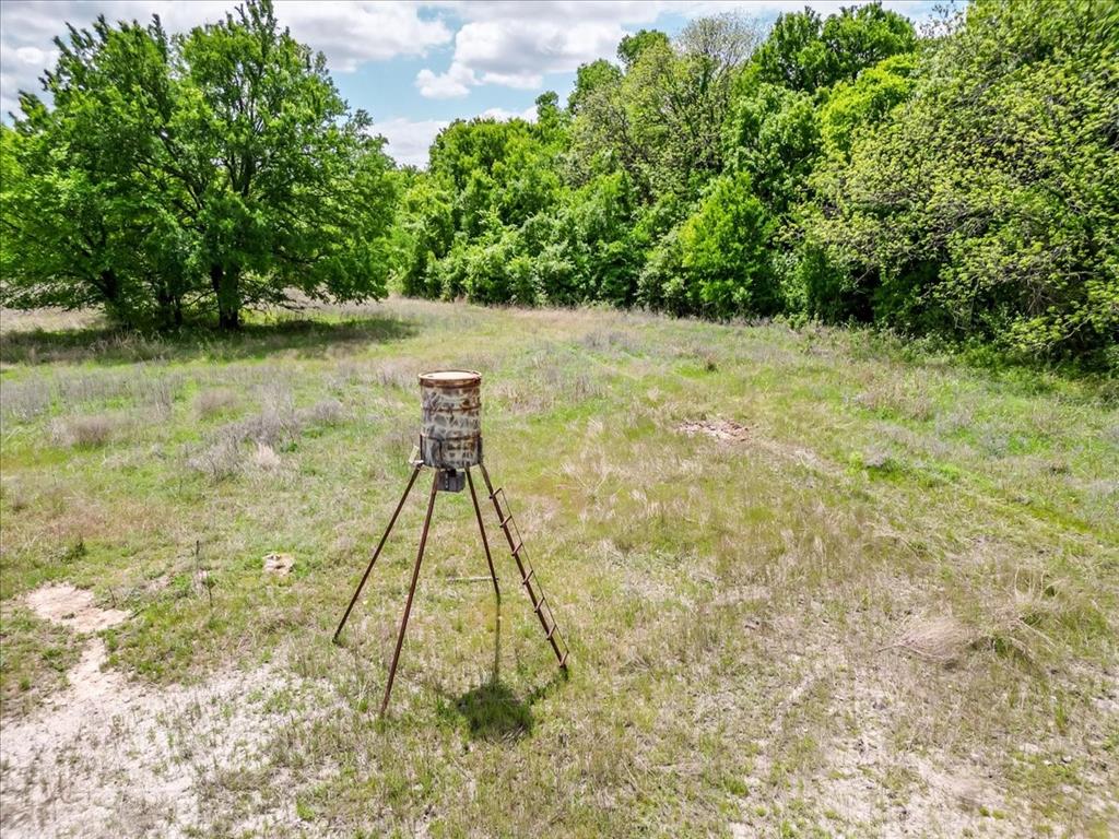 4313 Bethel Road Weatherford, TX 76087 - Photo 5 of 23
