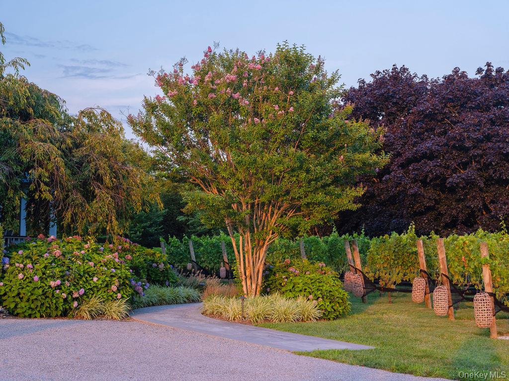 1810 Main Road Jamesport, NY 11901 - Photo 46 of 47 Gallery Image 46