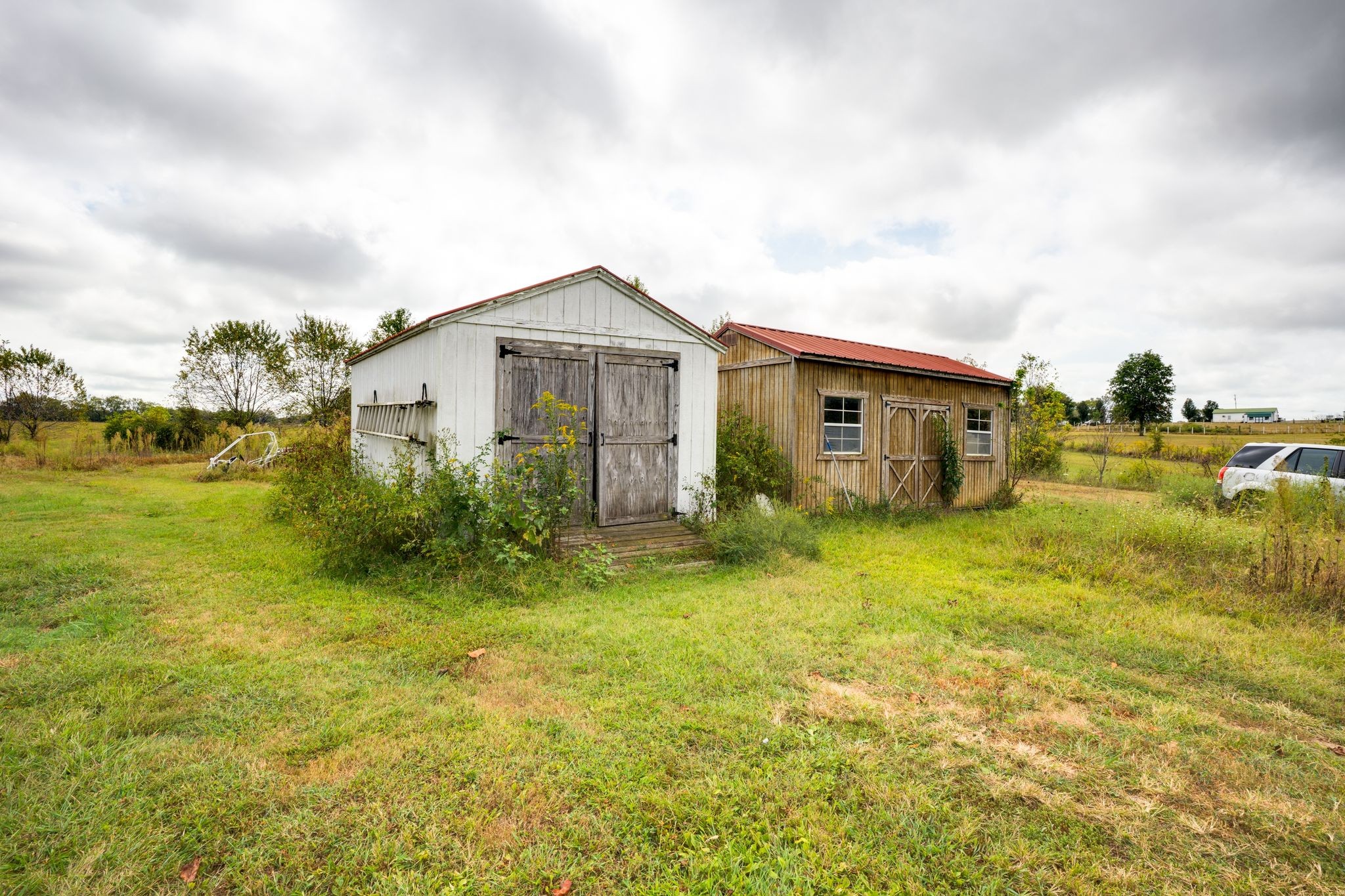 1038 Old Hopewell Road Castalian Springs, TN 37031 - Photo 15 of 19 a front view of a house with a yard