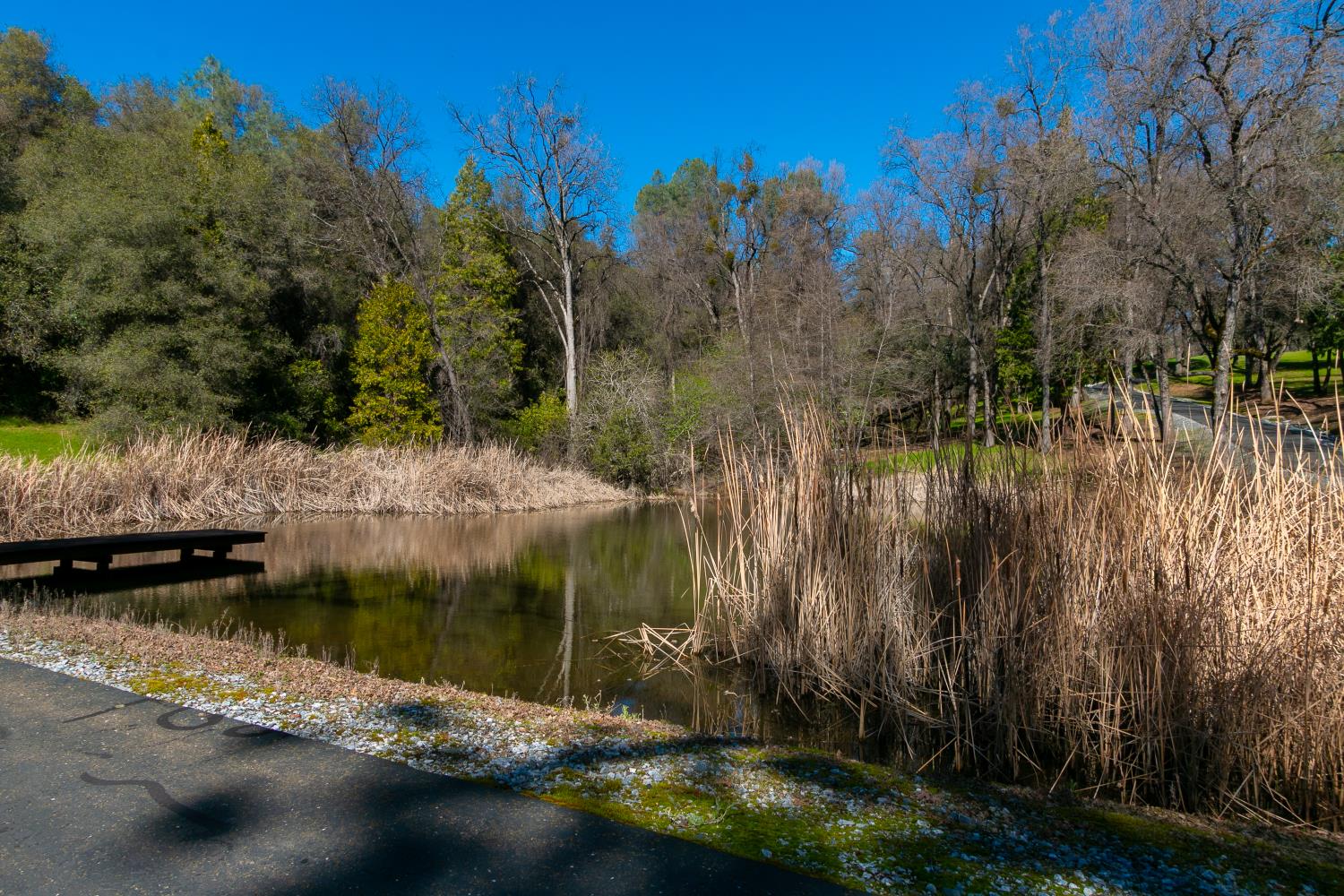 5220 Bucks Bar Road Placerville, CA 95667 - Photo 28 of 48