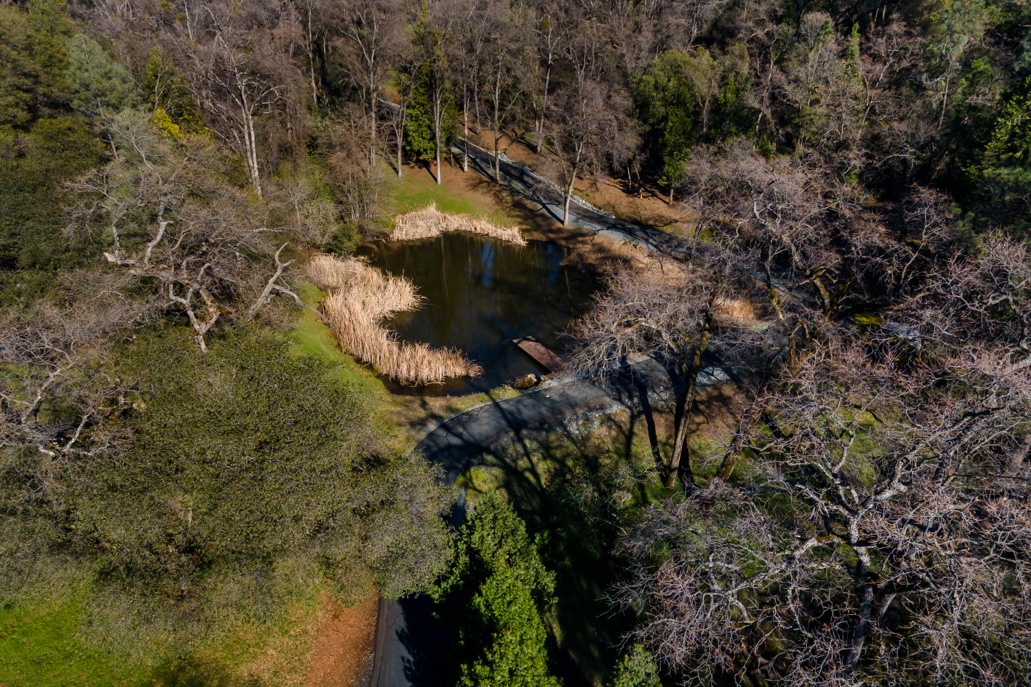 5220 Bucks Bar Road Placerville, CA 95667 - Photo 31 of 48