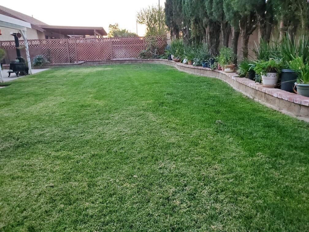 4120 Saddleback Road Palmdale, CA 93552 - Photo 15 of 16 Resized_20220902_061849