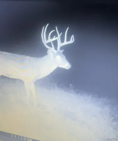 $1,474,900 | 1306 State Rte J, Fayette, MO 65248