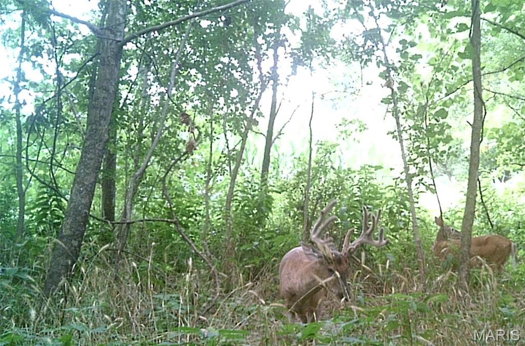 1306 State Rte J Fayette, MO 65248 - Photo 80 of 82