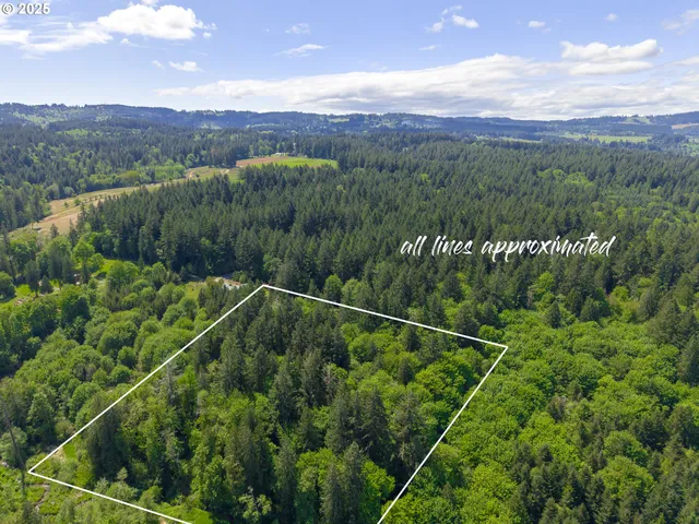 a view of a field with a forest