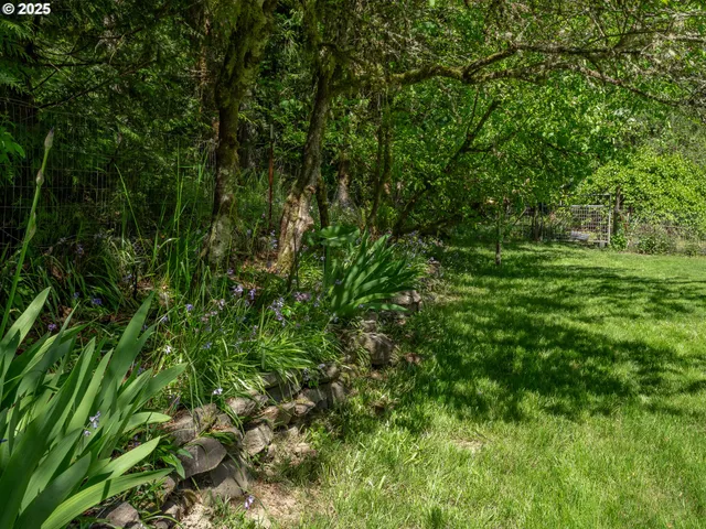 a view of a lush green space