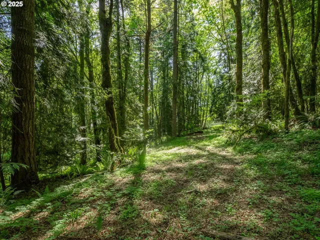 a view of outdoor space and green space