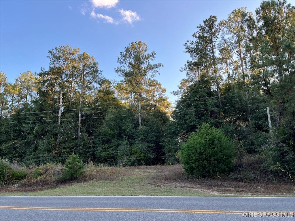0 Shellfield Road Enterprise, AL 36330 - Photo 1 of 1 Gallery Image 1