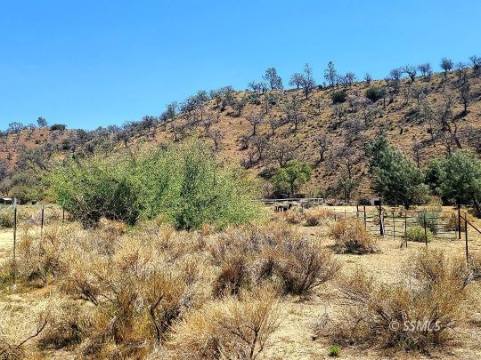 34650 Sand Canyon Road Caliente, CA 93518 - Photo 7 of 10 a view of a yard with trees in the background