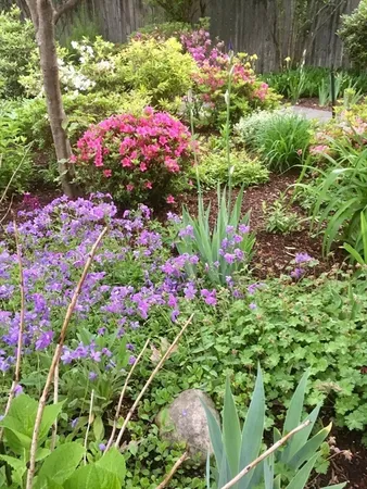 a kitchen with a sink dishwasher and white cabinets