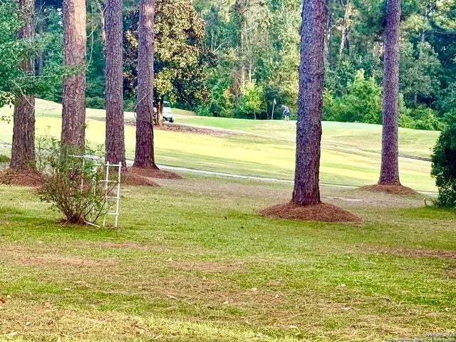 a view of a garden with a bench
