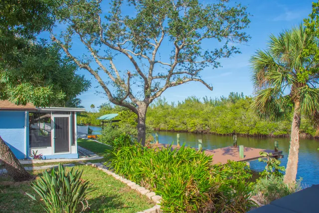 a view of a garden with plants and a large tree