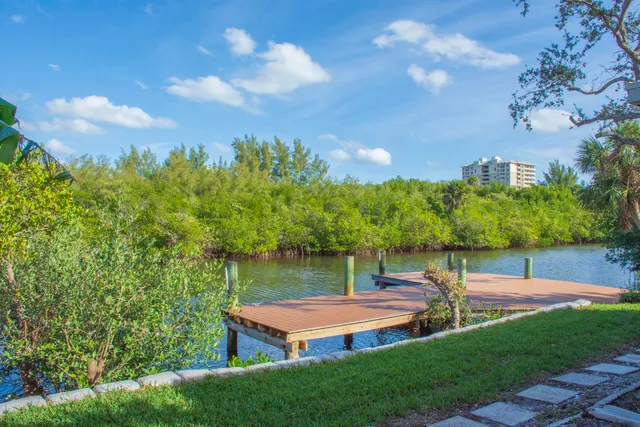a view of a park with large trees