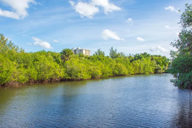 a view of a water pond with lots of green space