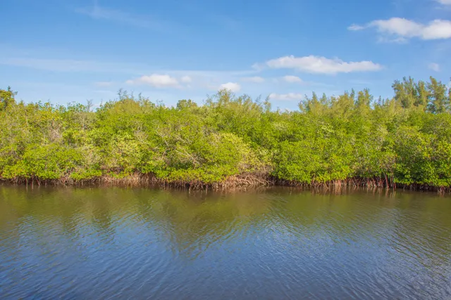 an aerial view of residential houses with outdoor space and lake view