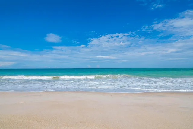 a view of a yard with a house