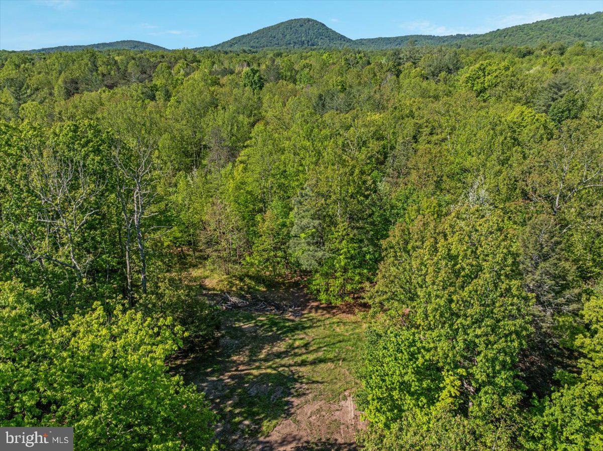 146 Lizzie Mills Road Castleton, VA 22716 - Photo 78 of 91