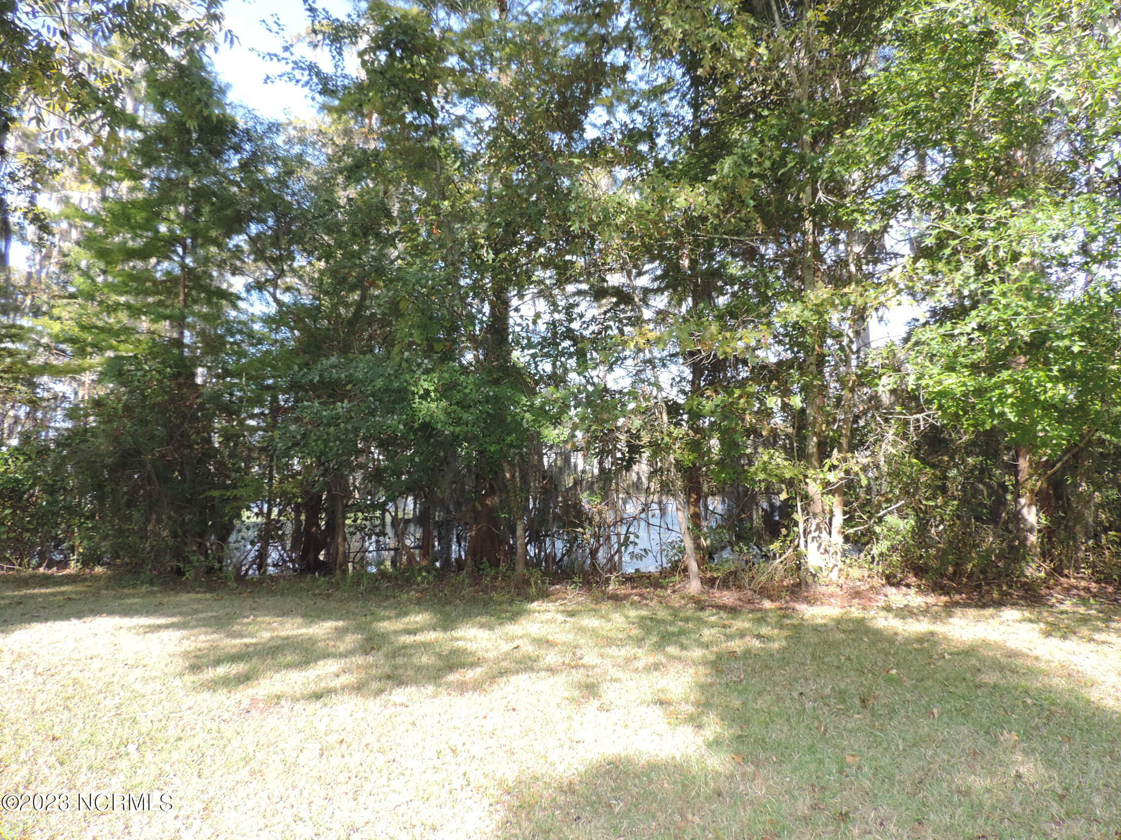 130 Hidden Pond Drive New Bern, NC 28562 - Photo 26 of 29 pond
