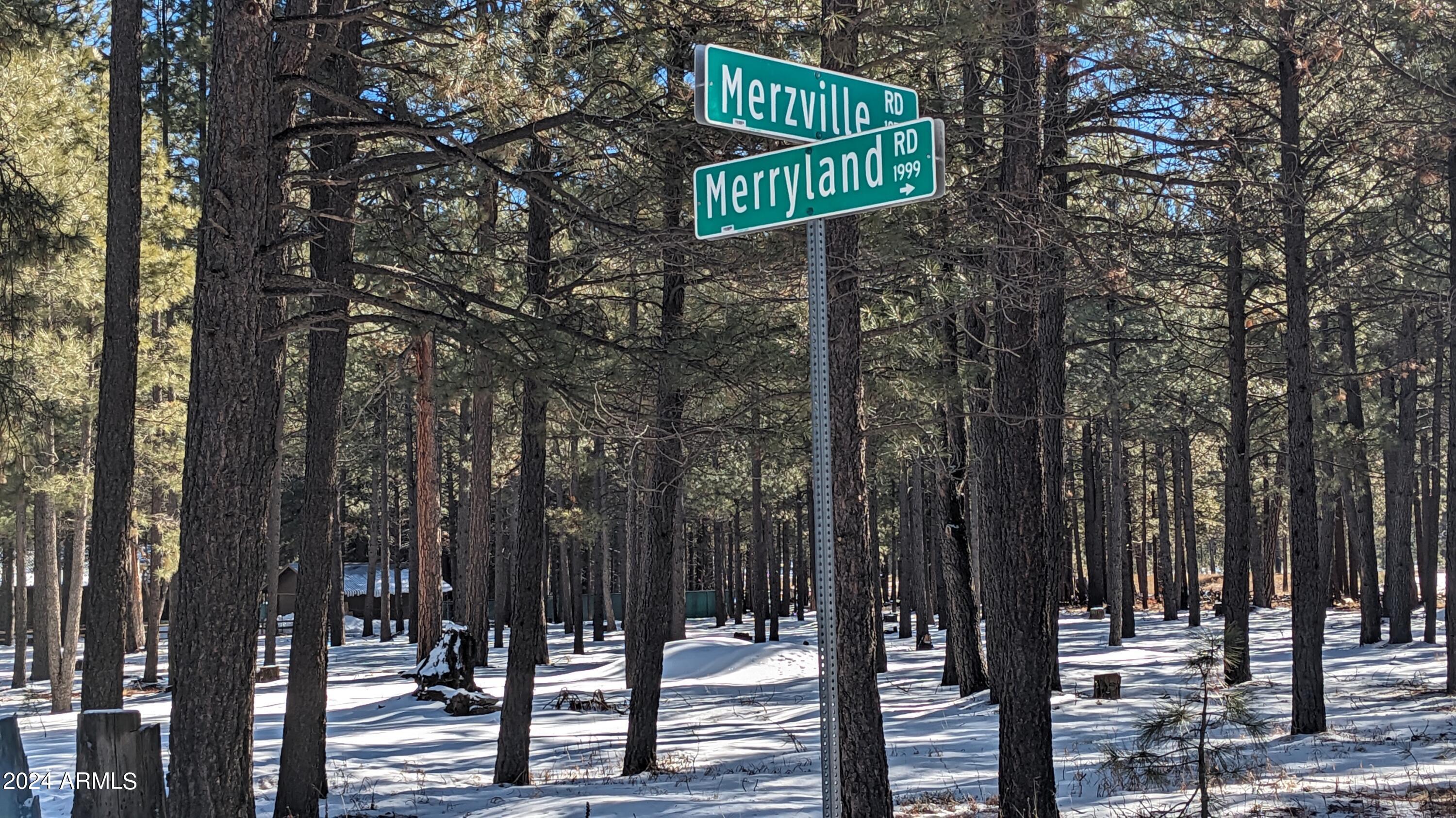 a street sign under a large tree