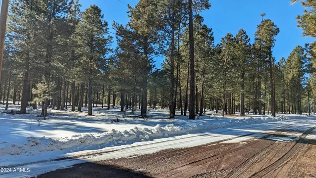 a view of a yard with a fountain