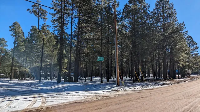 a view of outdoor space with stainless steel appliances and trees