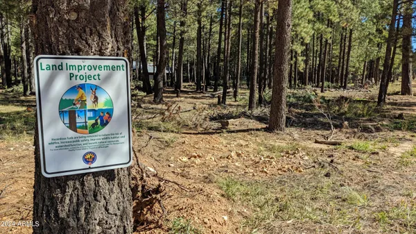 a view of backyard with green space