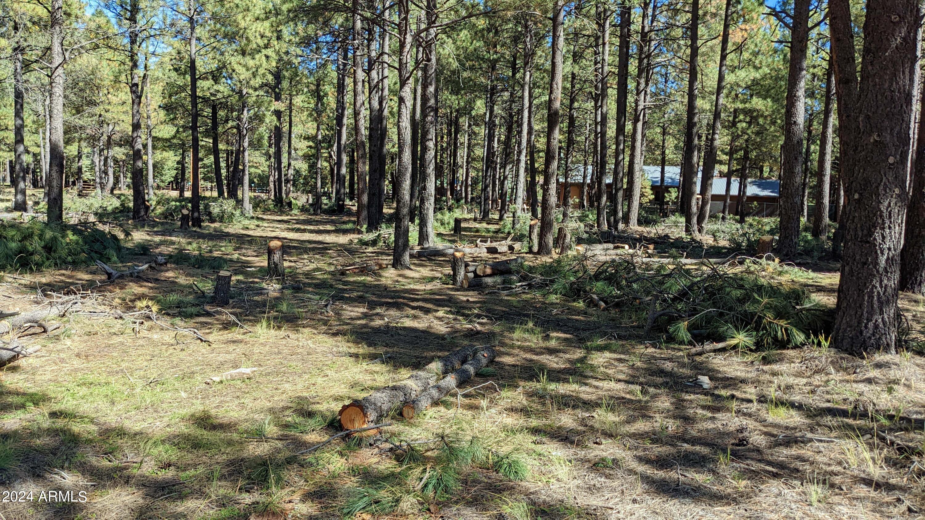 1960 Merryland Road, Unit 233 Forest Lakes, AZ 85931 - Photo 7 of 9 a view of backyard with green space