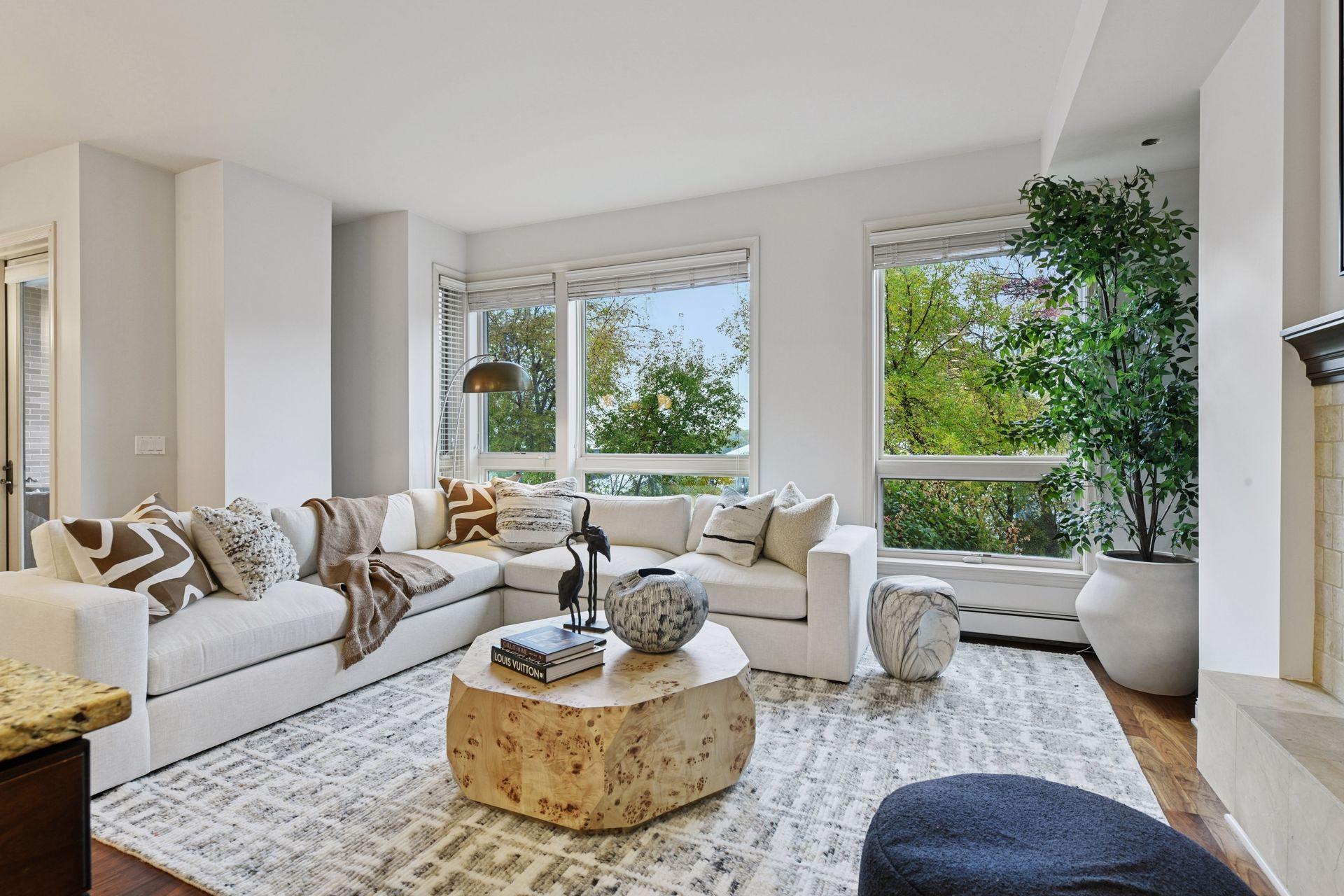 4201 Sunset Drive, Unit N217 Spring Park, MN 55384 - Photo 5 of 77