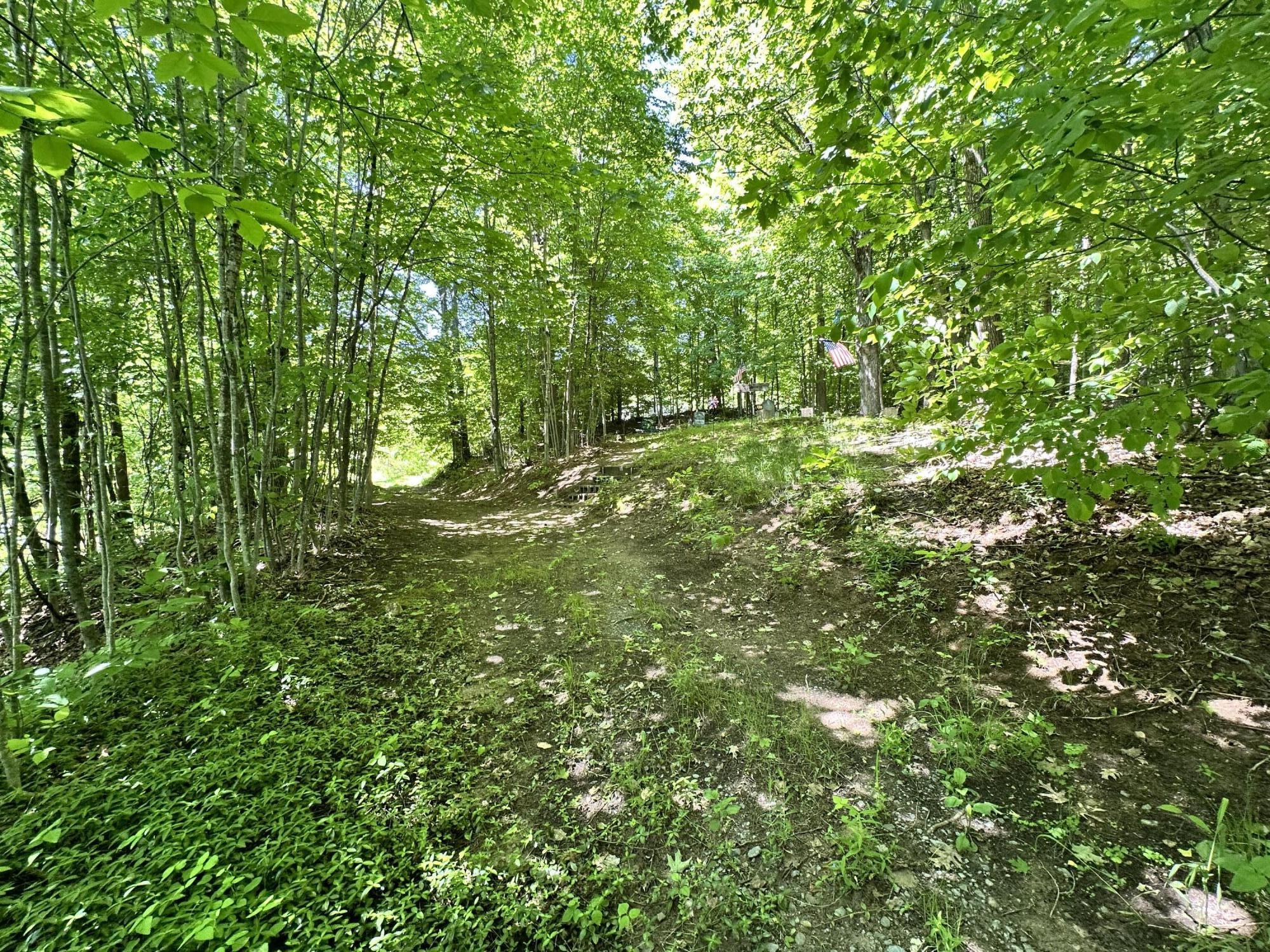 643 Springfield Road Wilmington, NY 12997 - Photo 8 of 41 Gallery Image 8