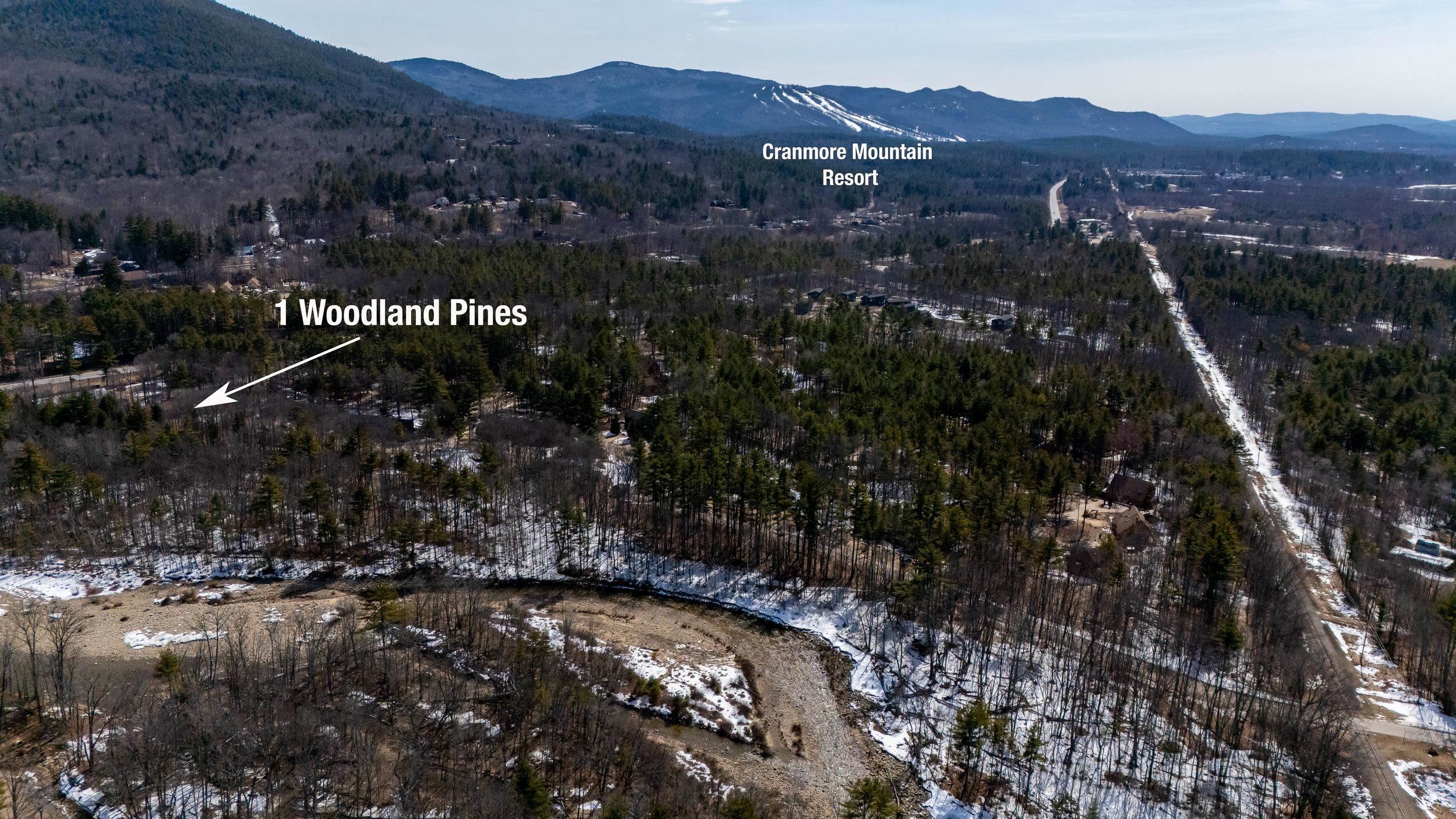 1 Woodland Pines Road, Unit 1 Intervale, NH 03845 - Photo 28 of 31