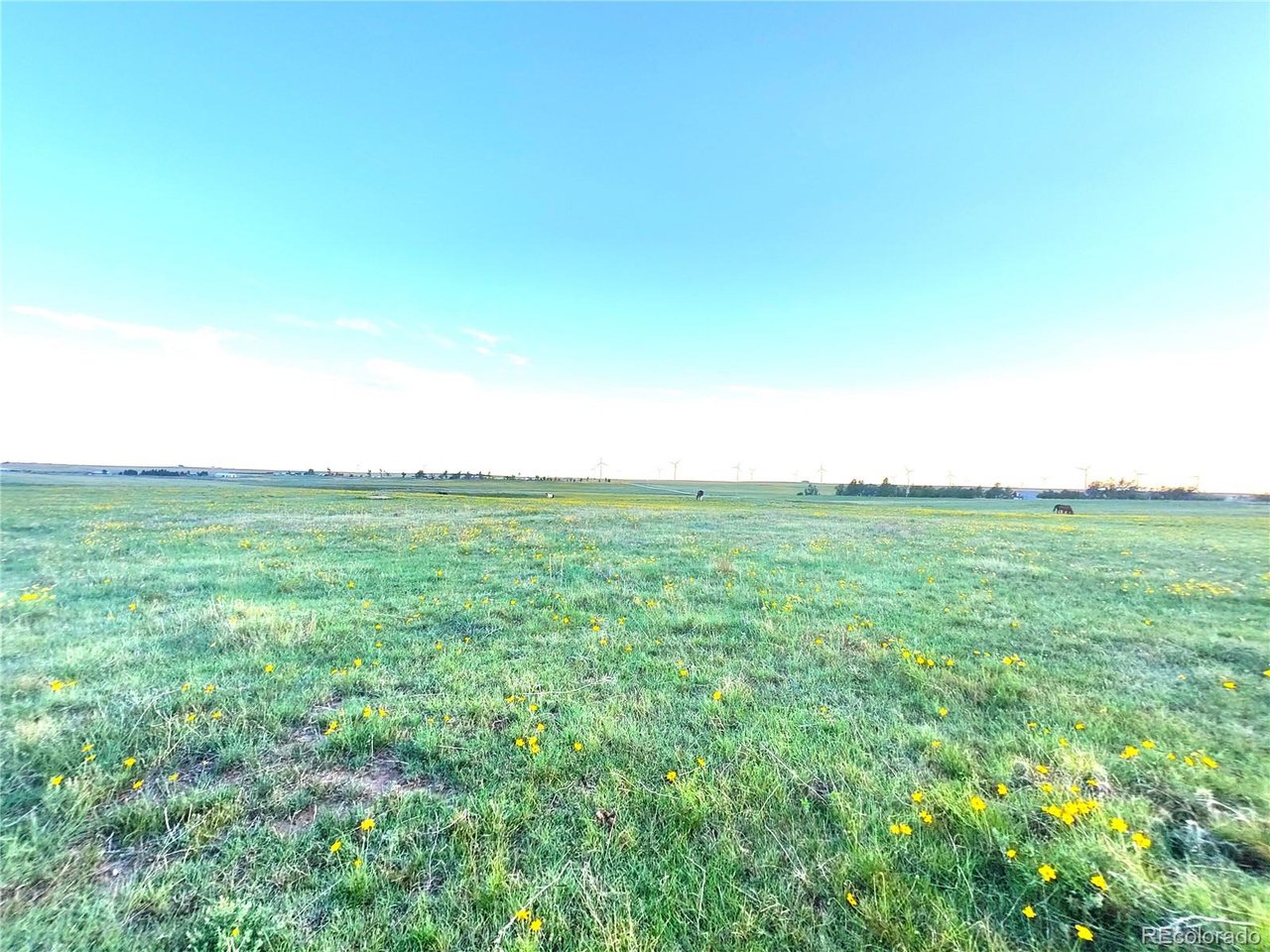 2 Currier Road Calhan, CO 80808 - Photo 13 of 14