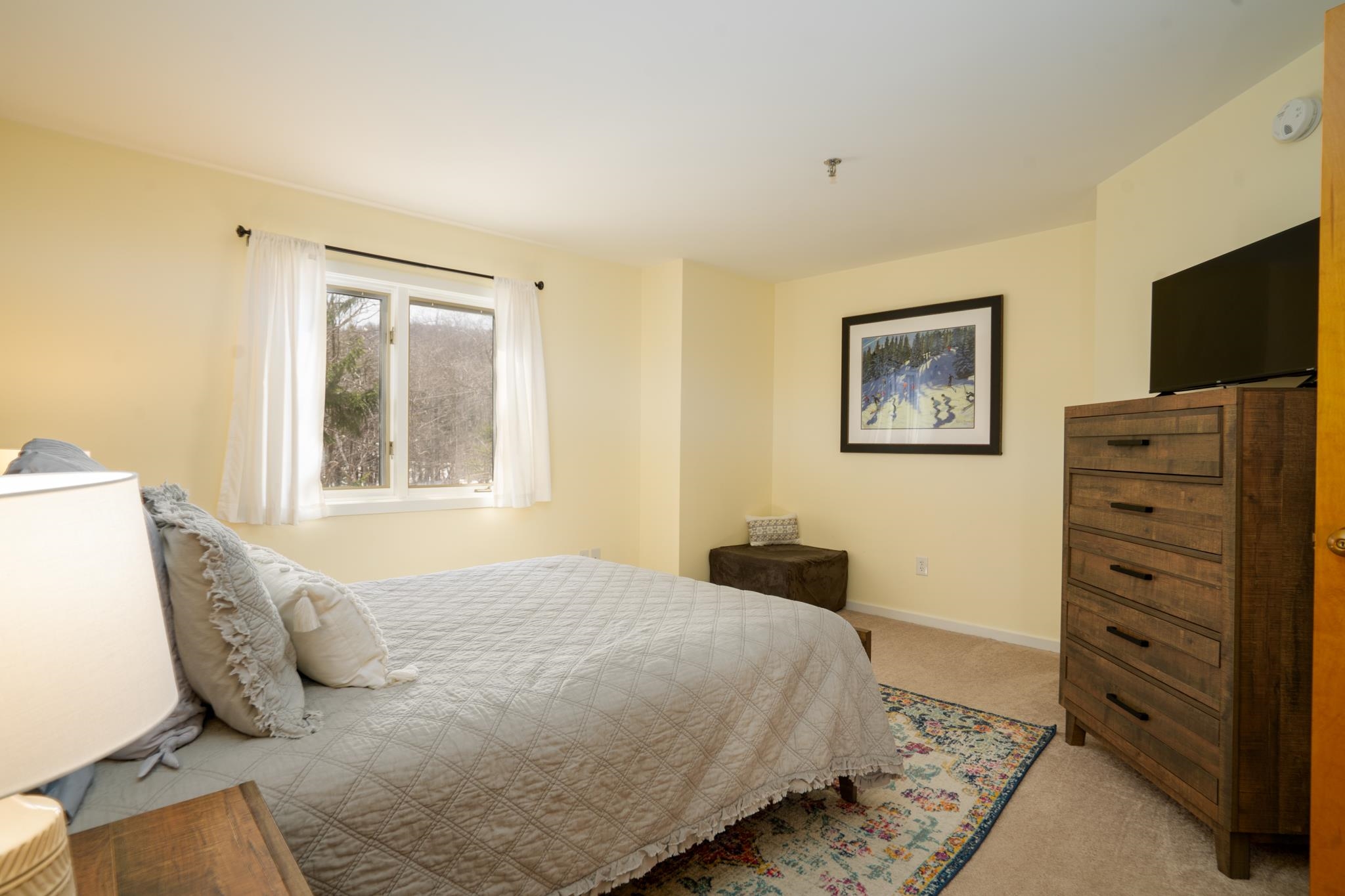 49 High Point Drive, Unit A14 Stratton, VT 05155 - Photo 18 of 27