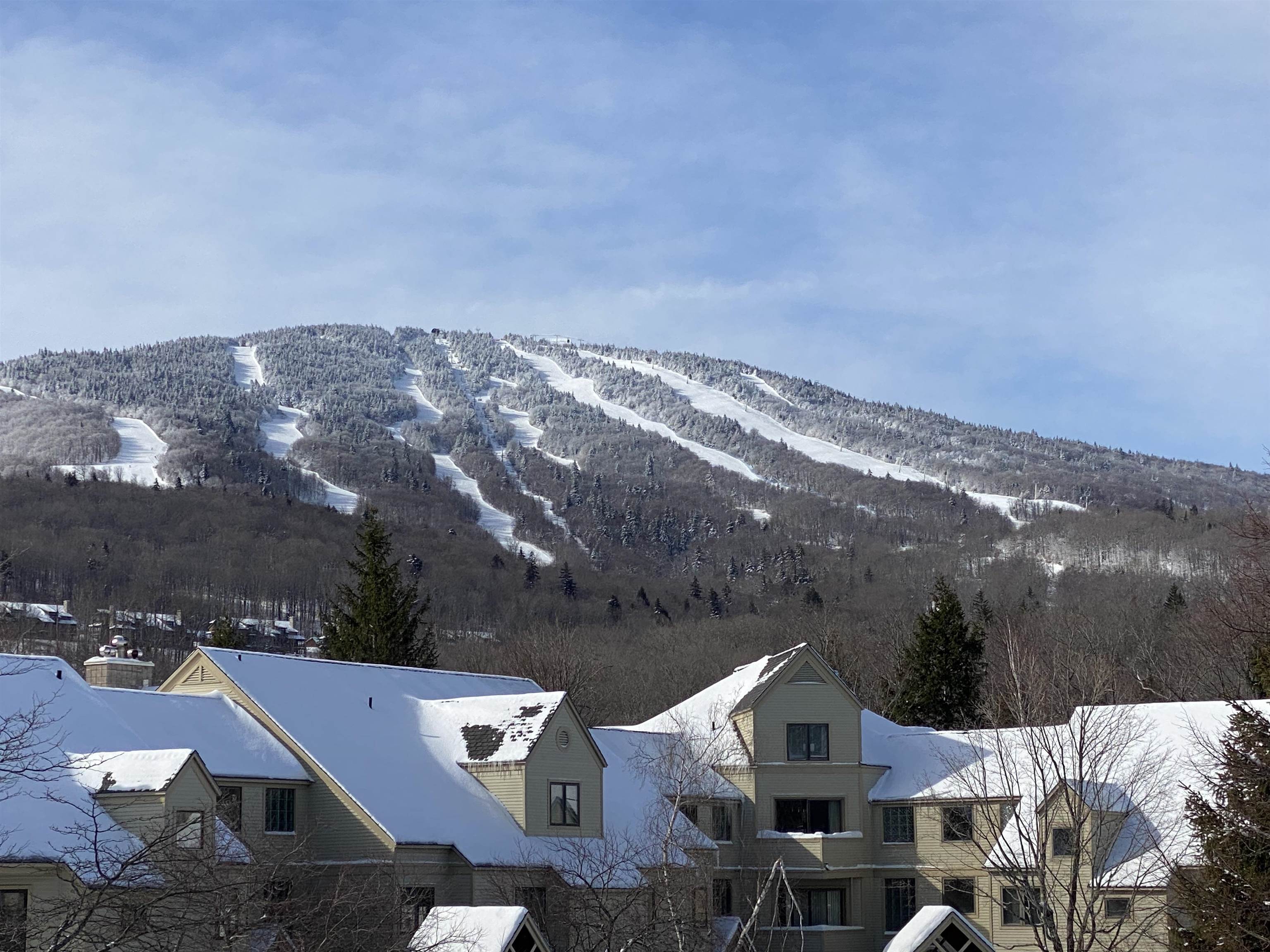 49 High Point Drive, Unit A14 Stratton, VT 05155 - Photo 4 of 27