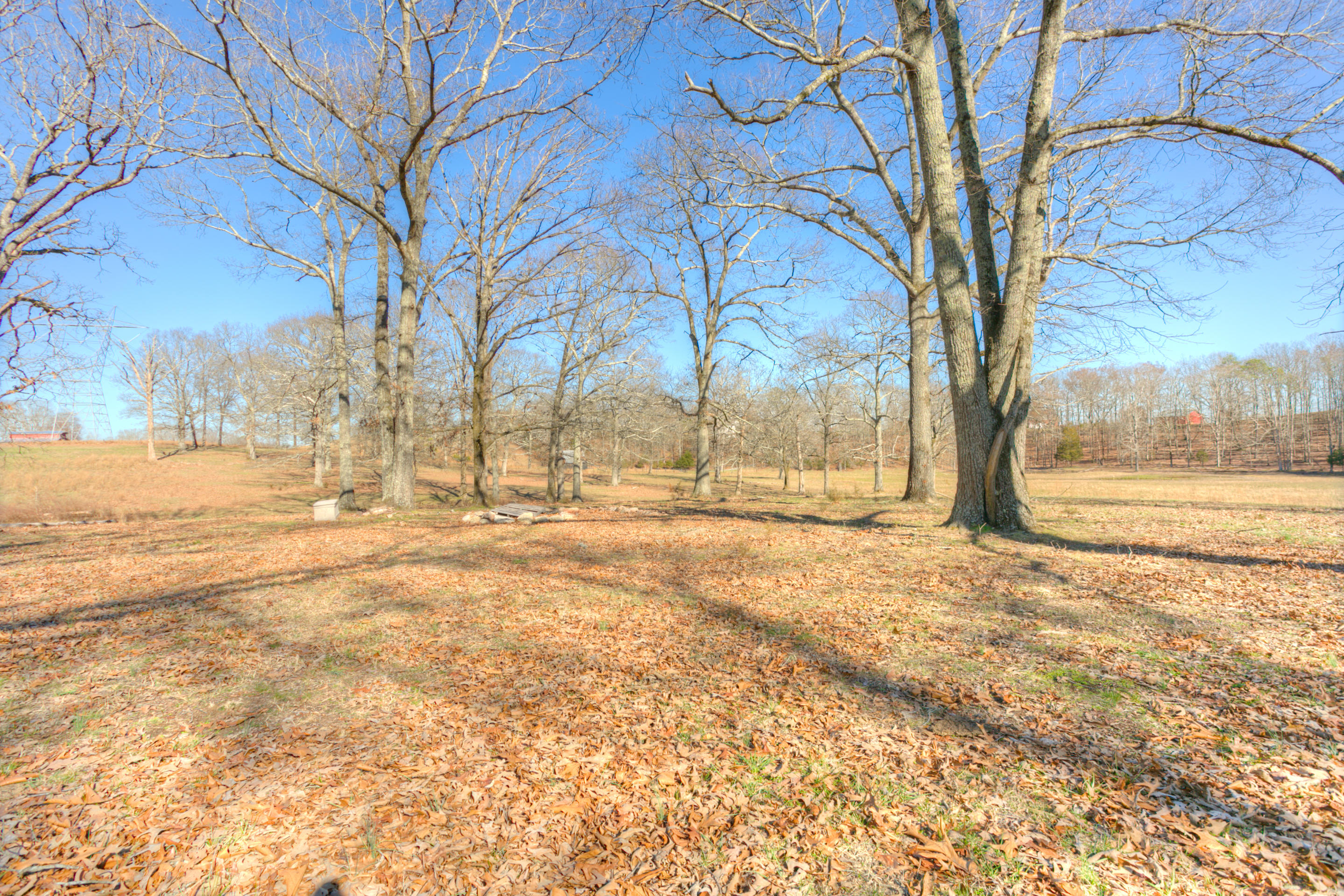 7007 B K Ranch Road Georgetown, TN 37336 - Photo 39 of 43 Great Views
