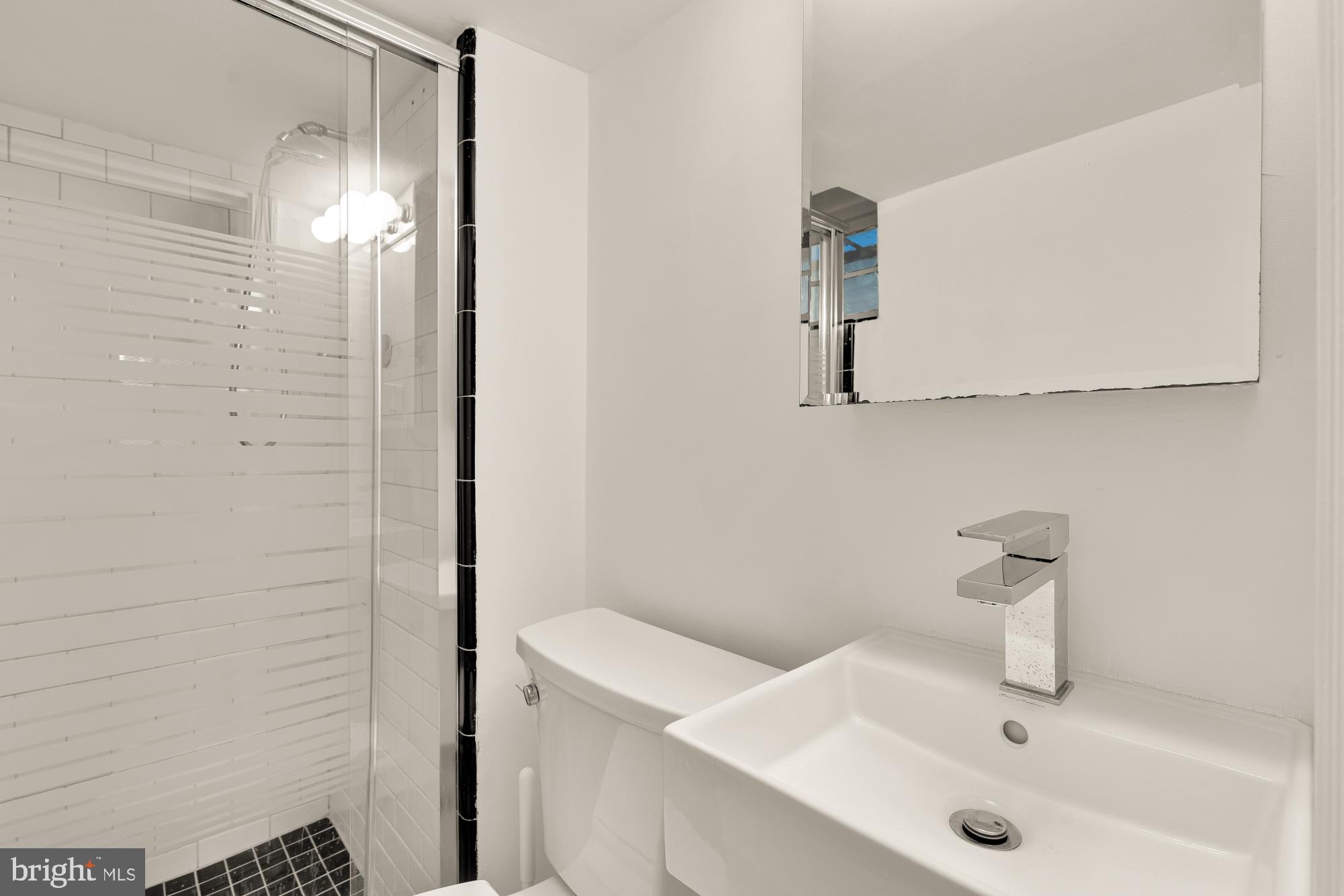 4501 47th Street Northwest Washington, DC 20016 - Photo 52 of 61 a bathroom with a sink and mirror