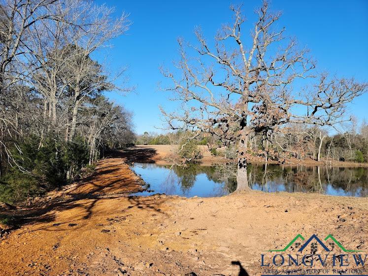 3372 Red Maple Road Big Sandy, TX 75755 - Photo 20 of 34 Gallery Image 20