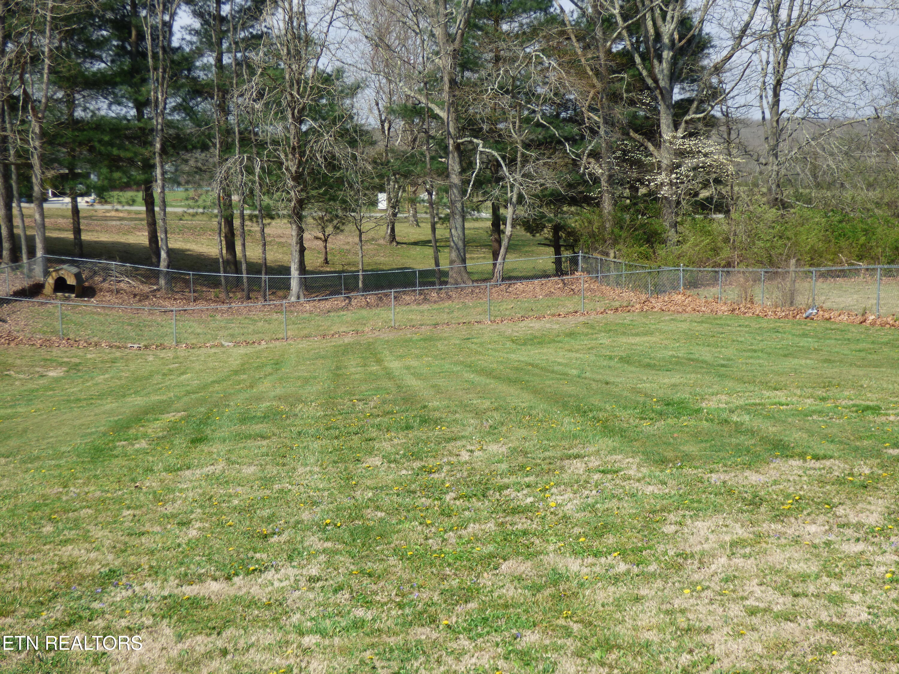 817 Hillendale Road Crossville, TN 38572 - Photo 34 of 56 P1080718