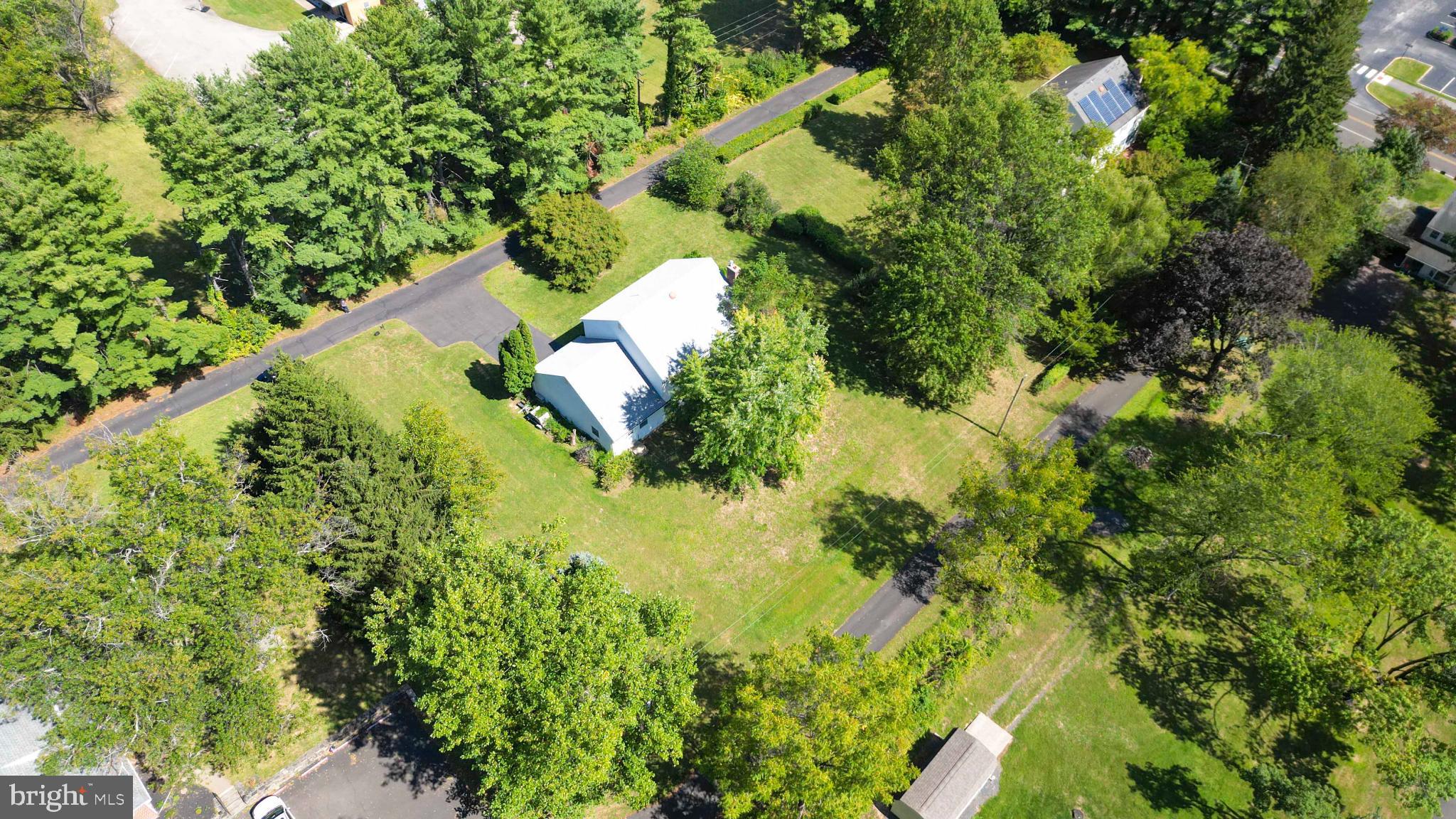 1478 Dillon Road Ambler, PA 19002 - Photo 41 of 42 a close up of a plant